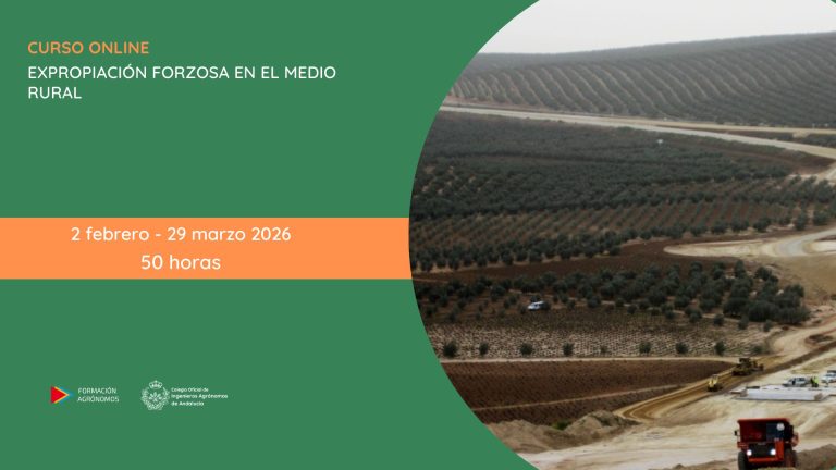 WEBINAR INTELIGENCIA ARTIFICIAL PARA PROFESIONALES