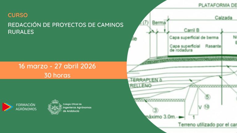 CURSO REDACCIÓN DE PROYECTOS DE CAMINOS RURALES