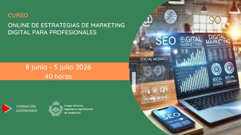 Curso online Estrategias de Marketing Digital para profesionales