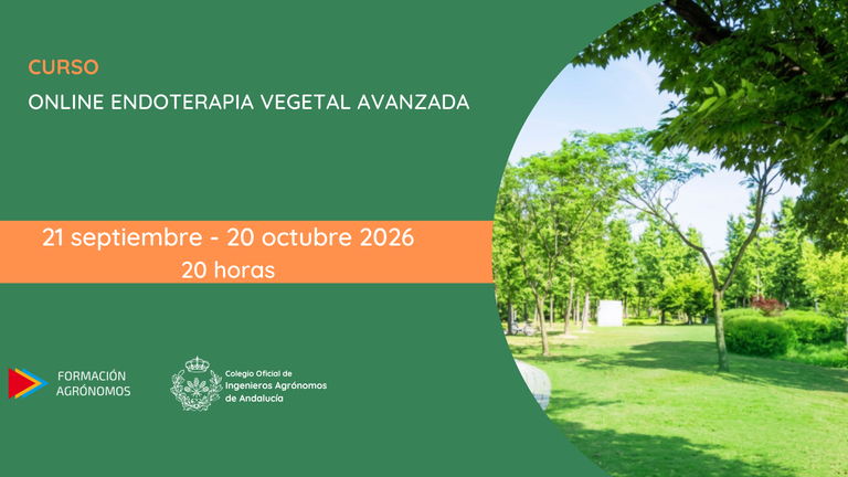 Curso online Endoterapia vegetal avanzada